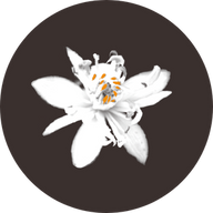 Neroli