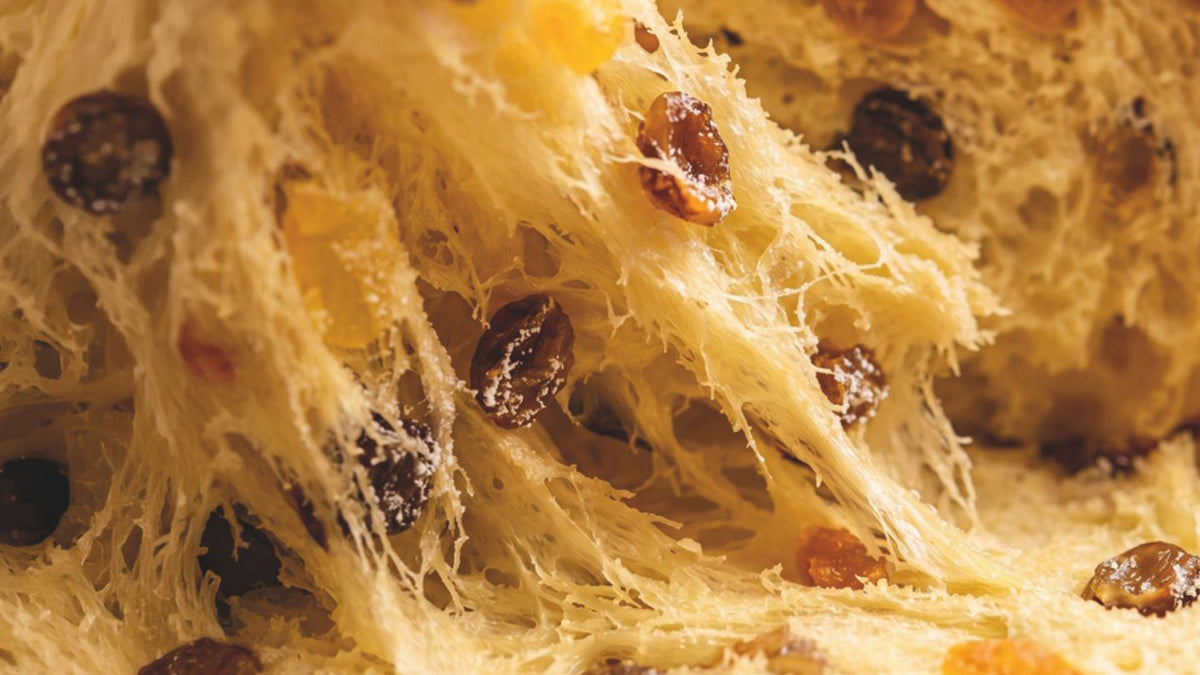 Panettone