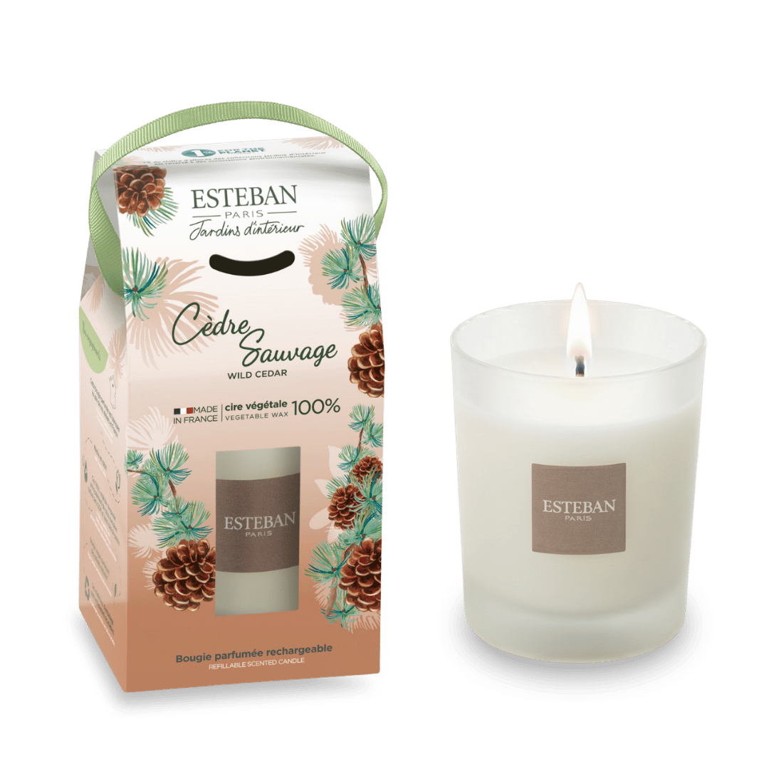Duftkerze „Wild Cedar“ – nachfüllbar – 180 g