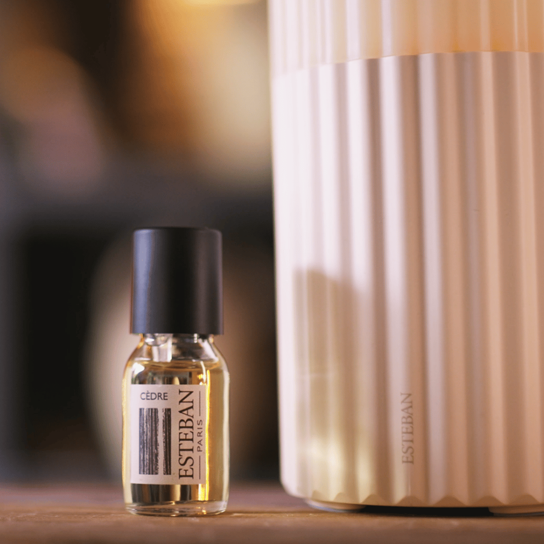 Huile parfumée Esteban Paris Cèdre, flacon de concentré de parfum présenté à côté d’un diffuseur électrique en céramique blanche nervurée dans une ambiance intérieure douce et chaleureuse