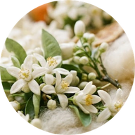 Orangenblüten