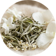 Teeblume